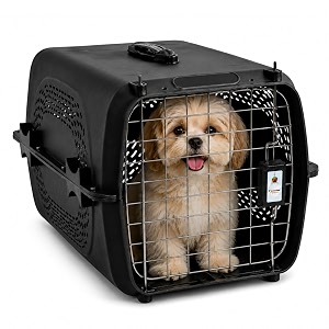 Foodie Puppies Imported Plastic Pet Travel Carrier