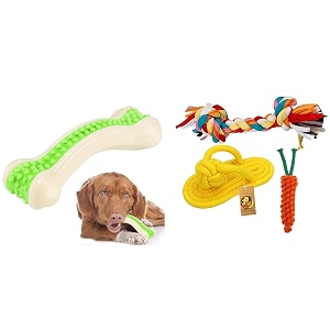 foodie puppies interactive non-toxic nylon arched bone medium amp durable cotton mix chewable rope teething playing toy