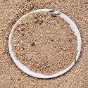 Foodie Puppies Natural Sugar Size (20Kg, River Sand) Gravel for Aquarium Decoration/Home &amp; Garden/Lawn Decoration/Aquarium Substrate/Terrarium/Quartz Sand