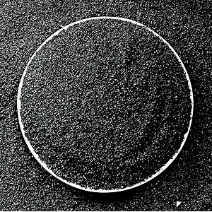 foodie puppies natural sugar size 5kg black sand gravel for aquarium decorationhome amp gardenlawn decorationaquarium substrateterrariumquartz sand pack of 4