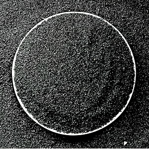 foodie puppies natural sugar size 5kg black sand gravel for aquarium decorationhome amp gardenlawn decorationaquarium substrateterrariumquartz sand