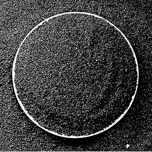 foodie puppies natural sugar size 5kg black sand gravel for aquarium decorationhome amp gardenlawn decorationaquarium substrateterrariumquartz sand pack of 2