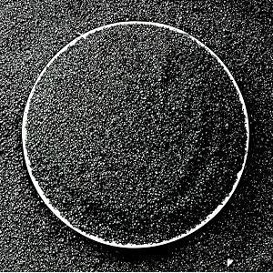 foodie puppies natural sugar size 5kg black sand gravel for aquarium decorationhome amp gardenlawn decorationaquarium substrateterrariumquartz sand pack of 3