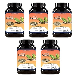foodie puppies parrot bird food for big parrot birds - 5kg container mix seeds fortified with almonds peanuts pumpkin seeds amp red chillis for african grey macaw cockatoo indian amp other parrots