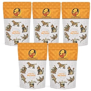foodie puppies parrot bird food for big parrot birds - 5kg pouch mix seeds fortified with almonds peanuts pumpkin seeds amp red chillis for african grey macaw cockatoo indian amp other parrots