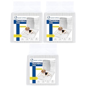 foodie puppies pee amp potty pet training pad 45x60cm - 10 pads pack of 3 for puppies amp dogs  leak proof protection  ultra-absorbent  odor neutralizer  multilayer design