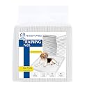 Foodie Puppies Pee &amp; Potty Pet Training Pad for Puppies &amp; Dogs | Leak Proof Protection | Ultra-Absorbent | Odor Neutralizer | Multilayer Design (60x90cm - 100Pcs)