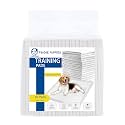Foodie Puppies Pee &amp; Potty Pet Training Pad for Puppies &amp; Dogs | Leak Proof Protection | Ultra-Absorbent | Odor Neutralizer | Multilayer Design (60x90cm - 10Pcs)