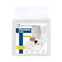 Foodie Puppies Pee &amp; Potty Pet Training Pad for Puppies &amp; Dogs | Leak Proof Protection | Ultra-Absorbent | Odor Neutralizer | Multilayer Design (60x90cm - 20Pcs)