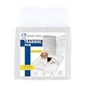 Foodie Puppies Pee &amp; Potty Pet Training Pad for Puppies &amp; Dogs | Leak Proof Protection | Ultra-Absorbent | Odor Neutralizer | Multilayer Design (60x90cm - 50Pcs)