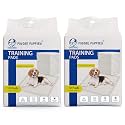 Foodie Puppies Pee &amp; Potty Pet Training Pad (45X60cm - 10 Pads, Pack of 2) for Puppies &amp; Dogs | Leak Proof Protection | Ultra-Absorbent | Odor Neutralizer | Multilayer Design