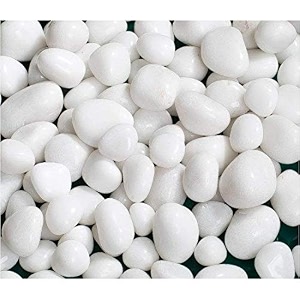 foodie puppies polished white pebbles glossy stones - large 3kg 3cm - 5cm  for home decorative vase fillers aquarium fish tank garden river rock unplanted substrate