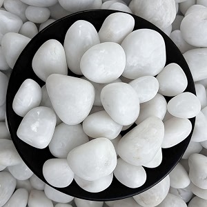 foodie puppies polished white pebbles glossy stones - large 10kg 25cm - 4cm  for home decorative vase fillers aquarium fish tank garden river rock unplanted substrate