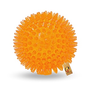 foodie puppies squeaky spike ball toy for small medium amp large dog - porcupine ball large  bouncy and attractive sound  tpr rubber teeth cleaning dental amp gum health for your pet 9cm35inch