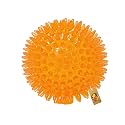 Foodie Puppies Squeaky Spike Ball Toy for Medium to Large Dogs - 13cm/5inch | Bouncy and Attractive Sound | TPR Rubber Teeth Cleaning Dental and Gum Health for Your Pet (Large)