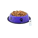 Foodie Puppies Stainless Steel Paw Bone Printed Bowl for Dogs, Cats &amp; Any Pets - 700ml, Medium (Precious Purple) I Non-Skid Rubber Bottom Food/Water Bowl I Non-Toxic &amp; 100% Safe for Pets