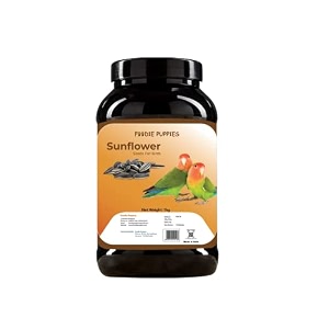 foodie puppies striped sunflower seeds bird food - 1kg for parrots parakeets lovebirds cockatiels macaws conures budgies african grey cockatoo and java birds  all life stages bird food