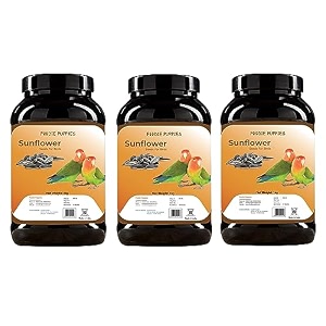foodie puppies striped sunflower seeds bird food - 3kg for parrots parakeets lovebirds cockatiels macaws conures budgies african grey cockatoo and java birds  all life stages bird food