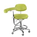 Foot Controlled Dental Dynamic Chair with 360° Rotation Armrest Height Adjustable Microfiber Leather Parrot
