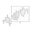 Ford Gasket - Water