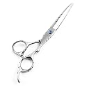 Professional Hair Cutting Scissors Professional - 6.5 € Overall Length - Razor Edge Barber Scissors for Men and Women, Silver