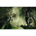 Forest Aquarium Background Jungle Plants Old Trees Reptile Habitat Background Fantasy Misty Foggy Rainforest Natural Landscape Fish Tank Background Misty Forest Terrarium Background Vinyl 36x24in