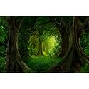 Forest Aquarium Background Lush Green Rainforest Natural Landscape Fish Tank Background Tropical Jungle Forest with Sunbeams Old Trees Reptile Tank Enclosure Backgrounds Wallpaper 60x24in