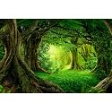 Forest Aquarium Background Lush Green Tropical Rainforest Natural Landscape Reptile Tank Terrarium Background Jungle Forest with Sunbeams Old Huge Trees Fish Tank Enclosure Backgrounds 24x16in