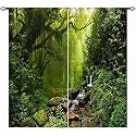 Forest Curtains W42 x L63 Inch Nature Tropical Jungle Rainforest Waterfall Green Tree Landscape Scenery Rod Pocket Print Pattern Window Drapes for Living Room Bedroom Dining Room Cafe 2 Panels