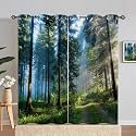 Forest Curtains W42 x L84 Inch Grommet Nature Jungle Misty Forest Sunshine Woodland Tree Path Scenery Print Pattern Light Filtering Fabric Window Drapes for Bedroom Living Room 2 Panels