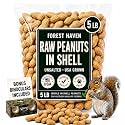 Forest Haven Premium Raw Peanuts for Squirrels – 5LB Bulk Squirrel Food – Unsalted Peanuts in Shell for Birds, Deer & Wildlife – Bonus Binoculars Included - USA Grown