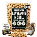 Forest Haven Premium Raw Peanuts for Squirrels – 10LB Bulk Squirrel Food – Unsalted Peanuts in Shell for Birds, Deer & Wildlife – Bonus Binoculars Included - USA Grown