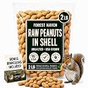 Forest Haven Premium Raw Peanuts for Squirrels – 2LB Bulk Squirrel Food – Unsalted Peanuts in Shell for Birds, Deer & Wildlife – Bonus Binoculars Included - USA Grown
