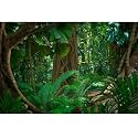 Forest Terrarium Background Tropical Rainforest Aquarium Background Huge Tree Rainforest Reptile Habitat Background Green Leaves Plants Aquarium Background Backdrop Durable Vinyl 36x18in