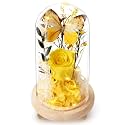 Forever Flowers Gifts for Mom Grandma Wife Girlfriend for Christmas, Preserved Flowers for Delivery Prime, Anniversary, Valentine's Day, Birthday for Her, Yellow Roses with Light in Glass Dome