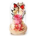 Forever Flowers Preserved Roses Prime Delivery, Gifts with Light in Glass Dome for Mom Grandma Wife Girlfriend, Pink Flower for Christmas, Valentine's Day, Anniversary.Birthday