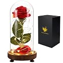 Forever Silk Rose in Glass Dome, Beauty and The Beast LED Light Flower Gift