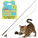 Forever Stick Unbreakable Cat Wand Toy, Durable Feather Teaser