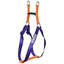 Step-in Harness Dog Harness for Cats and Puppy - Extra Small, Ultra Violet X Neon Orange