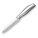 Forged Stainless Steel Paring Knife Super Sharp Blade, Rust-Proof, Stain-Resistant Razor-Sharp Small Kitchen Knife for Precision Cutting of Fruits and Vegetables (Silver, 1PCS)