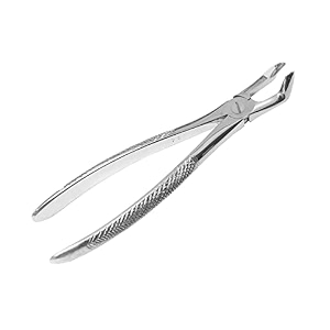 forgesy tooth extraction forcep no 79 lower third molars amp wisdoms pack of 1