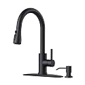 FORIOUS Black Kitchen Faucet, with Soap Dispenser and Pull Down Sprayer