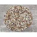Fossil Coral Chips – Natural Mini Fossil Coral Stones, Crushed Undrilled Fossil Coral, Semi-Tumbled Genuine Fossil Coral (10 lbs Bulk)
