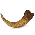 Fossilized Teeth and Claws of Various Prehistoric Dinosaurs, Megalodon Shark Teeth, and High-Fidelity Replicas (Megaraptor Claw)