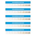 Framendino, 20 Pack Teeth Whitening Shade Guide Paper Tooth Bleaching Chart for Household Oral Care