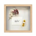 FrameWorks 11” x 11” Natural Oak Wooden Shadow Box Frame – Display Case with Soft Felt Back, Memory Box with Tempered Glass, Display Box with Elegant White Ball Push Pins, Wooden Flower Box