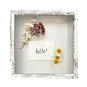 FrameWorks 11x11 Driftwood Wooden Shadow Box Frame – Soft Felt Back, Tempered Glass, and Included Elegant White Ball Push Pins