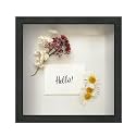 FrameWorks 11x11 Driftwood Wooden Shadow Box Frame – Soft Felt Back, Tempered Glass, and Included Elegant White Ball Push Pins