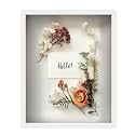 FrameWorks 16" x 20" Original White Wooden Shadow Box Frame – Soft Felt Back, Tempered Glass, and Included Elegant White Ball Push Pins