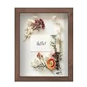 FrameWorks 8.5” x 11” Dark Oak Wooden Shadow Box Frame – Soft Felt Back, Tempered Glass, and Included Elegant White Ball Push Pins,8.5inchx11inch